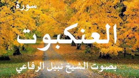 سورة العنكبوت بصوت الشيخ / نبيل الرفاعي 29