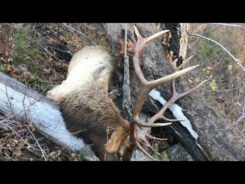 extreme-elk-hunt-with-jet-boat!---limitless-55