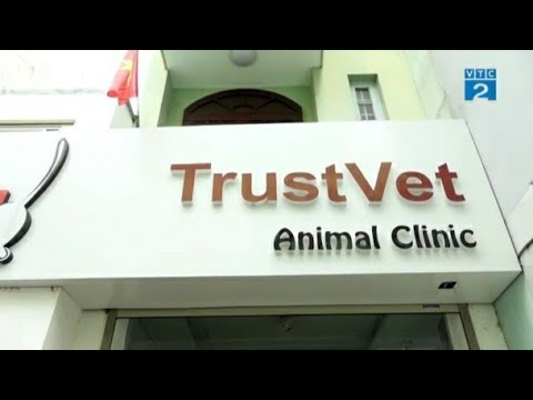 phòng khám thú y đà nẵng  Update  [Góc nhìn Người tiêu dùng] Phòng khám thú cưng TrustVet Animal Clinic