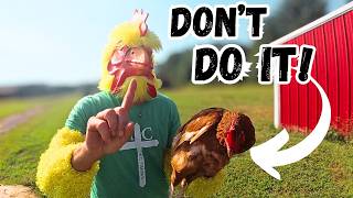 Why You Might NOT Want Chickens!
