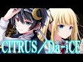 CITRUS／Da-iCE（Cover） 鬱
