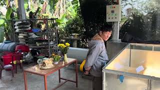 Máy sấy lúa 1 tấn mẻ, lắp ở Quảng Trị- 0908491324