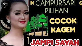 Gending Jawa Cdanursari di Laras Sinambi Makaryo Sangat Cocok