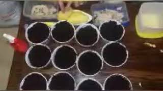 Charekt Tarika Djal Kifach Tezar3O Mango Fedyorkom Tariqa Najha