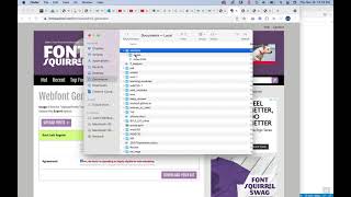 Downloading Fonts to use in your Web Project screenshot 5