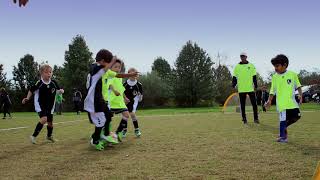 FCV Ashburn Rec 2017