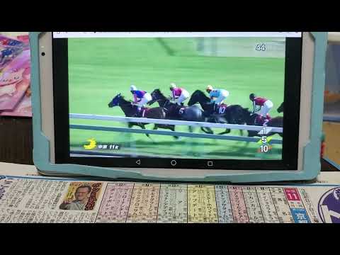 (競馬)第70回京都新聞杯(GⅡ)in中京ダイジェスト