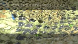 Call of Duty: Black Ops PS3 Clip - SnD Hilarious Final Killcam