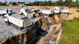 Great Feat of Engineering!! Turning a Lake into Landfill Using Bulldozer and Dump Truck in Operation
