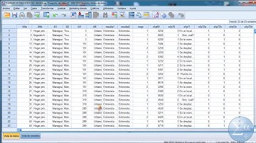 Seleccionar casos y Segmentar archivos|SPSS