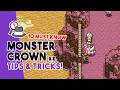 10 Monster Crown: SIN EATER Tips and Tricks You SHOULD KNOW!