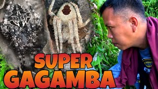 Grave Gagambang Pangdigma Ang Aming Nahuli Super Gagamba Episode 2