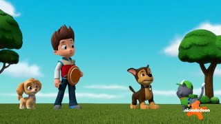 New Paw Patrol Clip Chase Sneezing Part 8