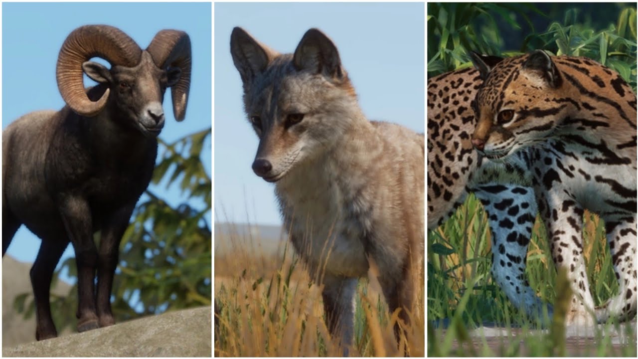 Planet Zoo (1.19) ALL 202 ANIMALS SHOWCASE