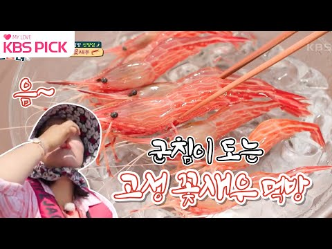 [#랜선장터] 보기만 해도 군침도는 역사상 최고가 특산물 고성 ‘꽃새우’ <strong>로</strong> <strong>만든</strong> 요리 퍼래이드 대공개!! 🦐ㅣKBS 210721 방송