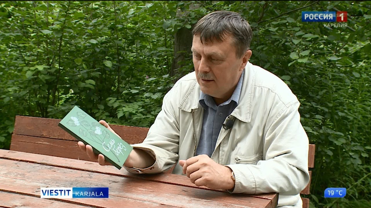 Seitsemän koivua näki päivänvalon