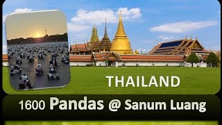 FLASHMOB 1600 PANDAS AT SANAM LUANG [ THAILAND ]  ROYAL GROUND BKK สนามหลวง