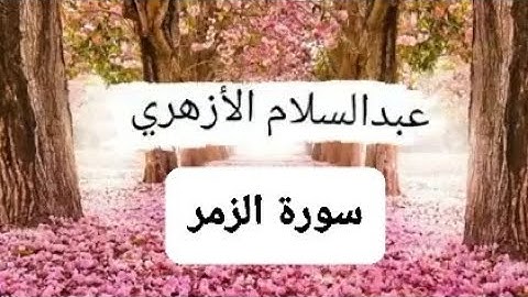 ما تيسر من سورة الزمر (القارئ/عبد السلام الازهري)