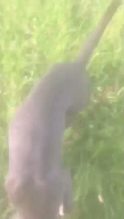 youtube.com