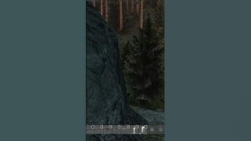 Weird shadow bug | DayZ