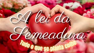 A Lei Da Semeadura  Tudo O Que Se Planta Colhe Linda Mensagem De Reflexo contedo nico