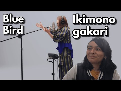 Ikimonogakari - Blue Bird / THE FIRST TAKE Reaction