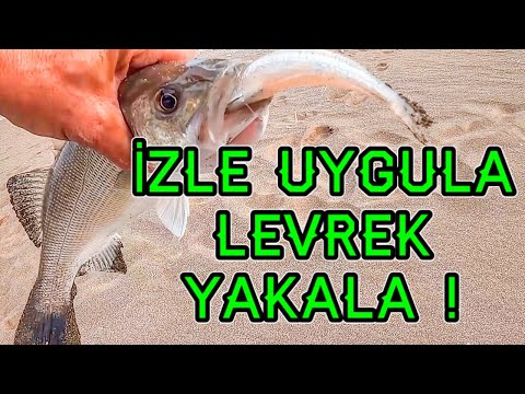 Video: Göllerde Beyaz Levrek için Balık Tutma