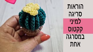 איך לסרוג מיני קקטוס במסרגה אחת  crochet cactus