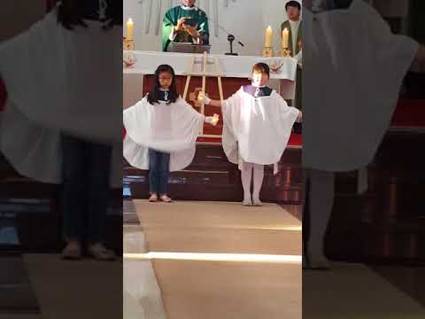 2017년장흥성당(광주대교구 중남부지역 청소년합동미사)