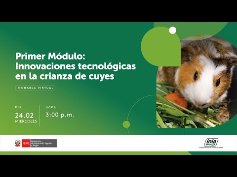Primer Módulo: Innovaciones tecnológicas en la crianza de cuyes