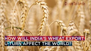 How will India's wheat export U-turn affect the world?