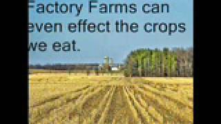 Farm Factories