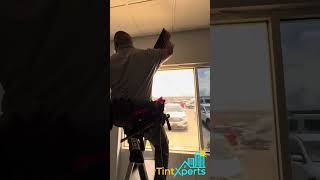 Most Orlando Homeowners Don't Know This About Window Tint
