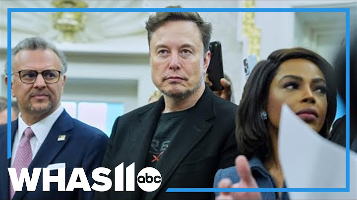 What is the 'America Party', proposed by Elon Musk?