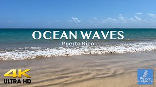 Nature Relaxation Ocean 4k Video - Peaceful Relaxation - Peace in Nature