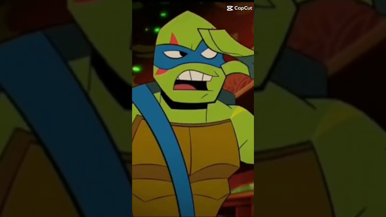 Raph totally let's Mikey ride shotgun when he drives