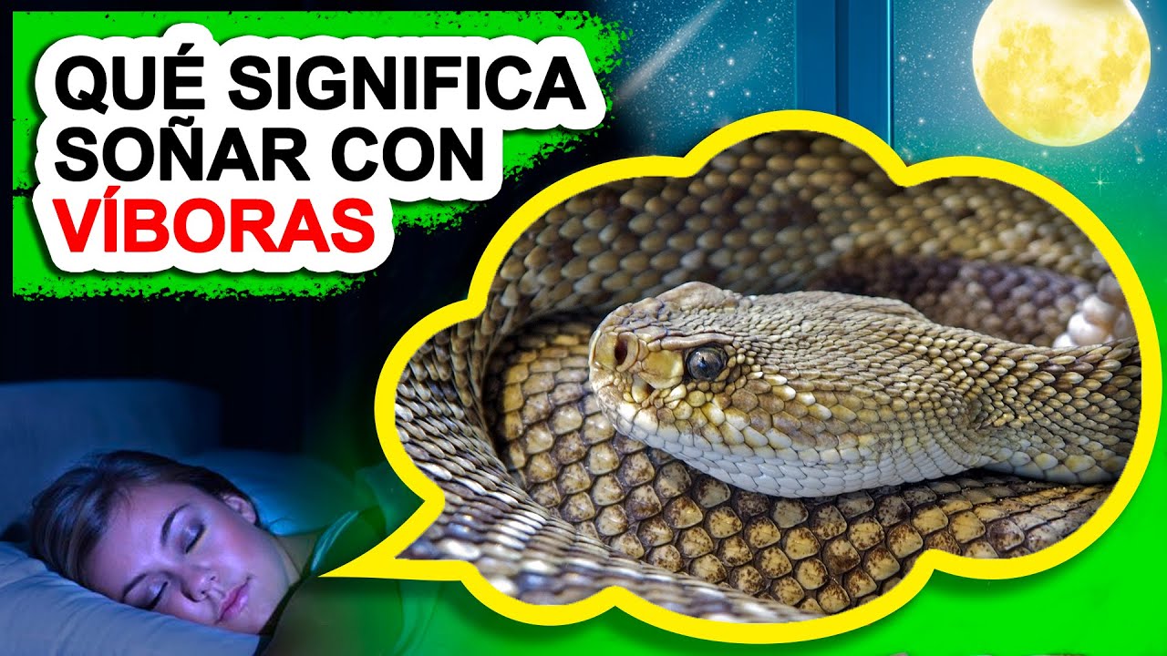 Qué significa soñar con víboras | Libro De Oniromancia - YouTube