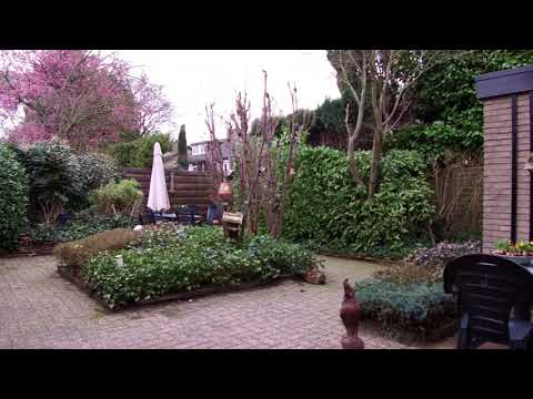 Te koop kluswoning half vrijstaand gelegen aan de Lupinestraat 2 Hengelo