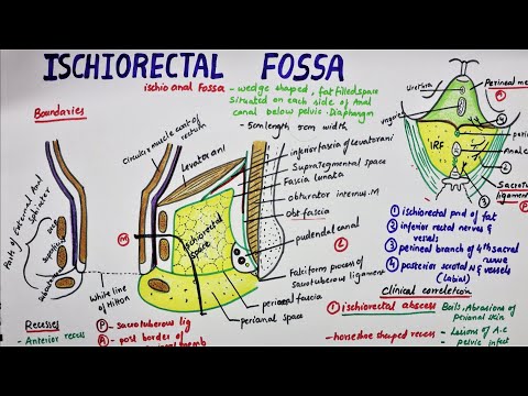 Video: Ischiorektaalse Fossa Kiirituse Välistamine Neoadjuvandi Kemoteradioteraapia Ajal Intensiivsusega Moduleeritud Kiiritusraviga, Millele Järgneb Abdominoperineaalne Resektsioon, Vähe