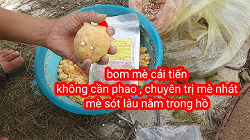 quay trở lại câu cá mè bằng lăng xê mè không phao