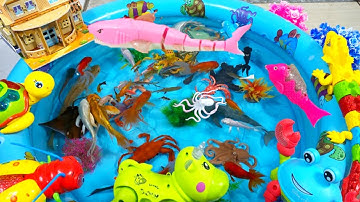 Động Vật Dễ Thương,Âm Thanh Động Vật,Cá Mập,Cá Heo,Cá Chép,Cá Koi,Cá Đuối,Bọ Ngựa,Chuồn Chuồn,Animas