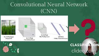 CSC649 INDIVIDUAL ASSIGNMENT