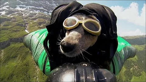 MAN AND BEAST - Part 38