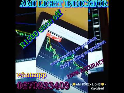 Ami Forex Lions - 
