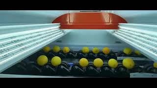 VSEE Automated intelligent Fruit Grader.