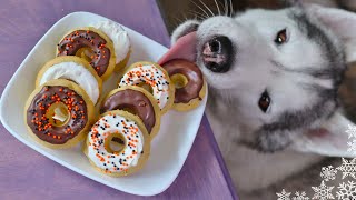 We Made Apple Cider Donuts For Dogs | DIY Dog Treats