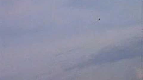 RC Powers F117 Stealth Short Video