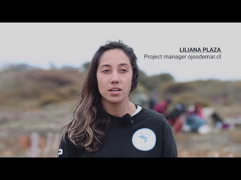 Somos Cuenca en Ojos de Mar con ReObserva