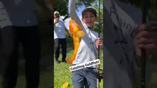 Catching Goldfish!