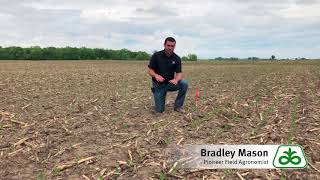 Soybean Stand Establishment
